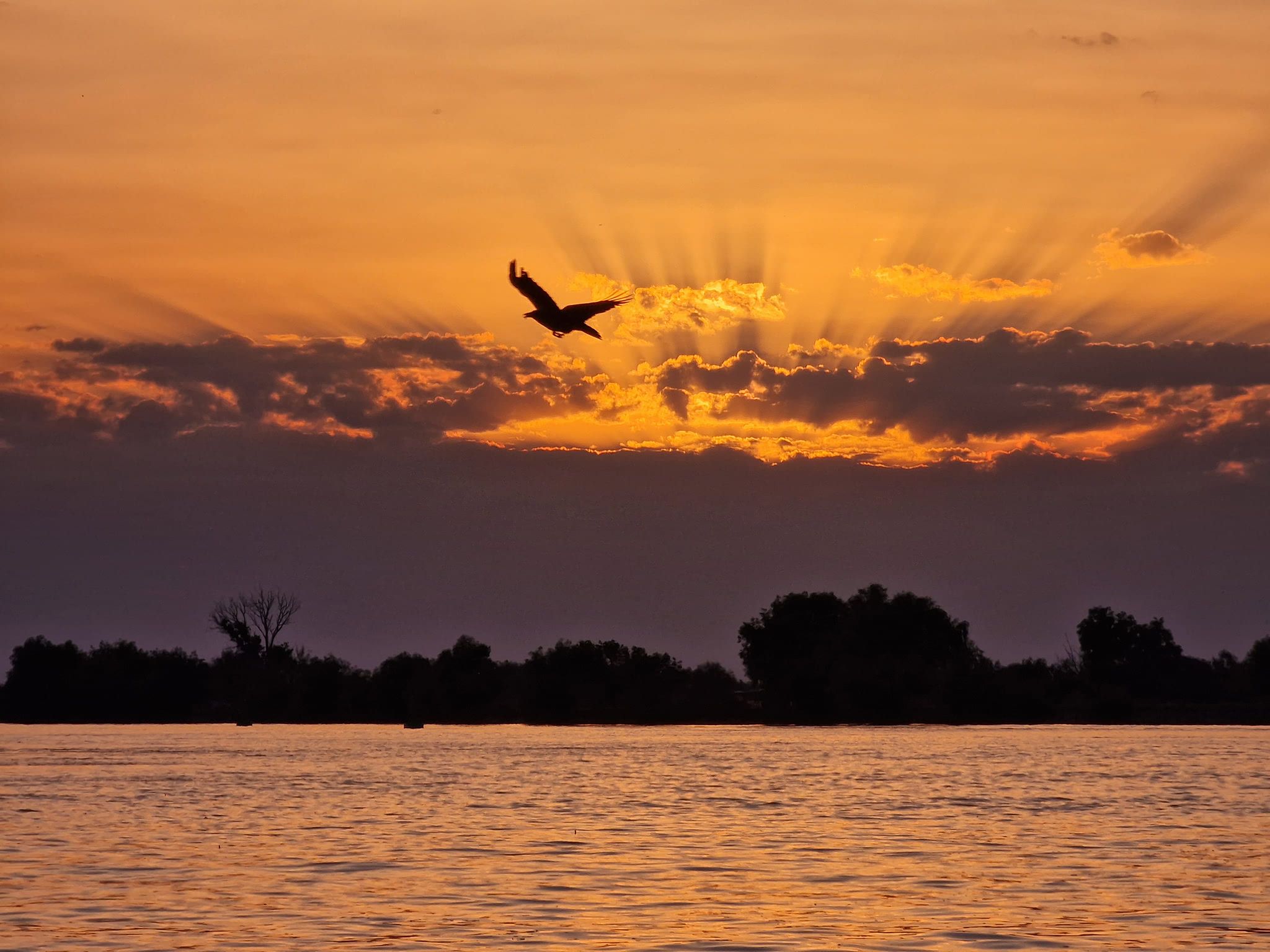 Galerie foto — Pensiunea Pagaya