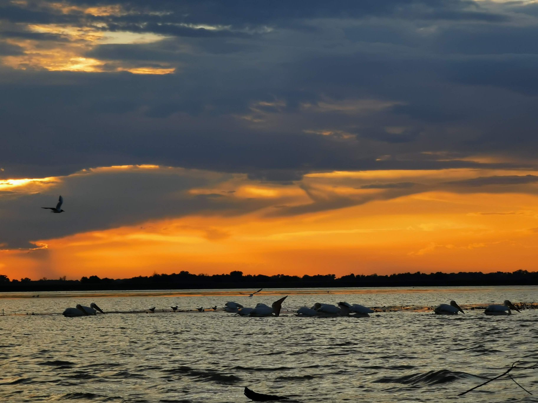 Galerie foto — Pensiunea Pagaya