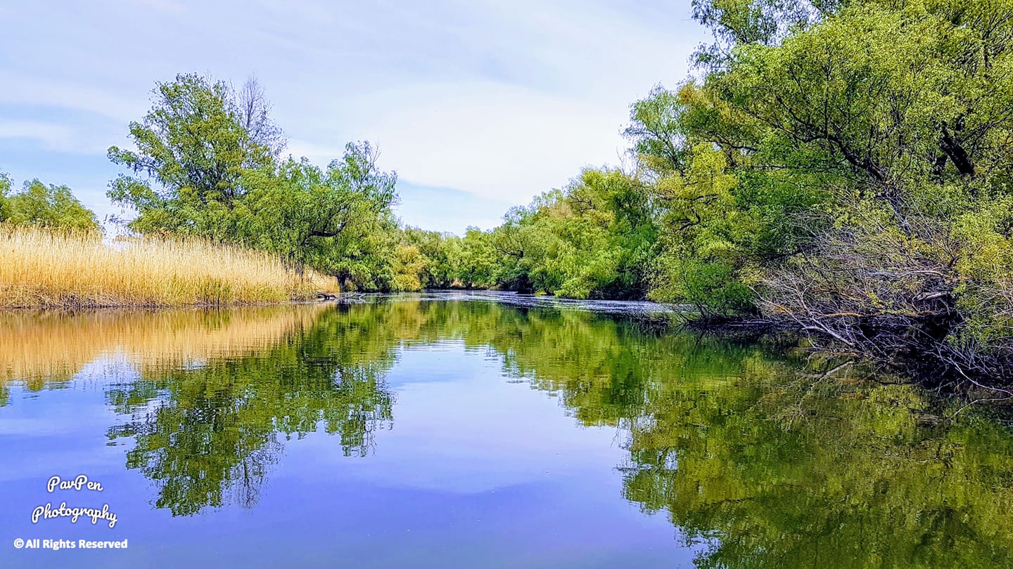 Galerie foto — Pensiunea Pagaya