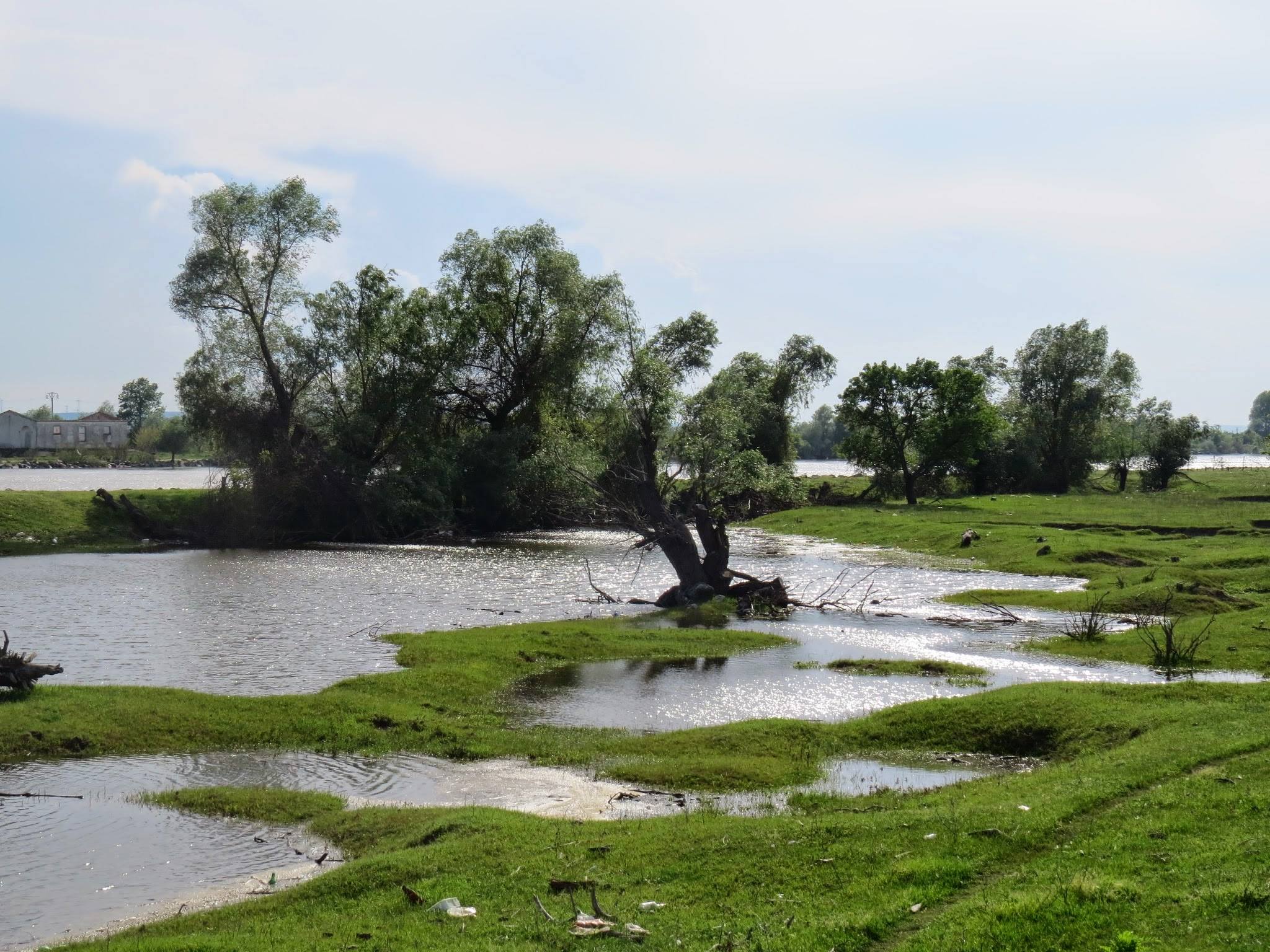 Galerie foto — Pensiunea Pagaya