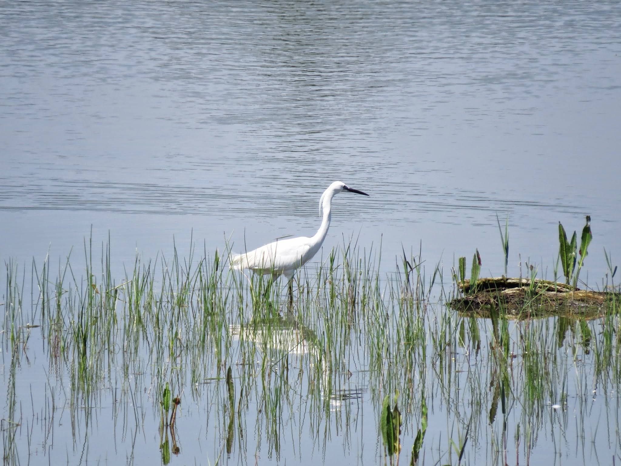 Galerie foto — Pensiunea Pagaya