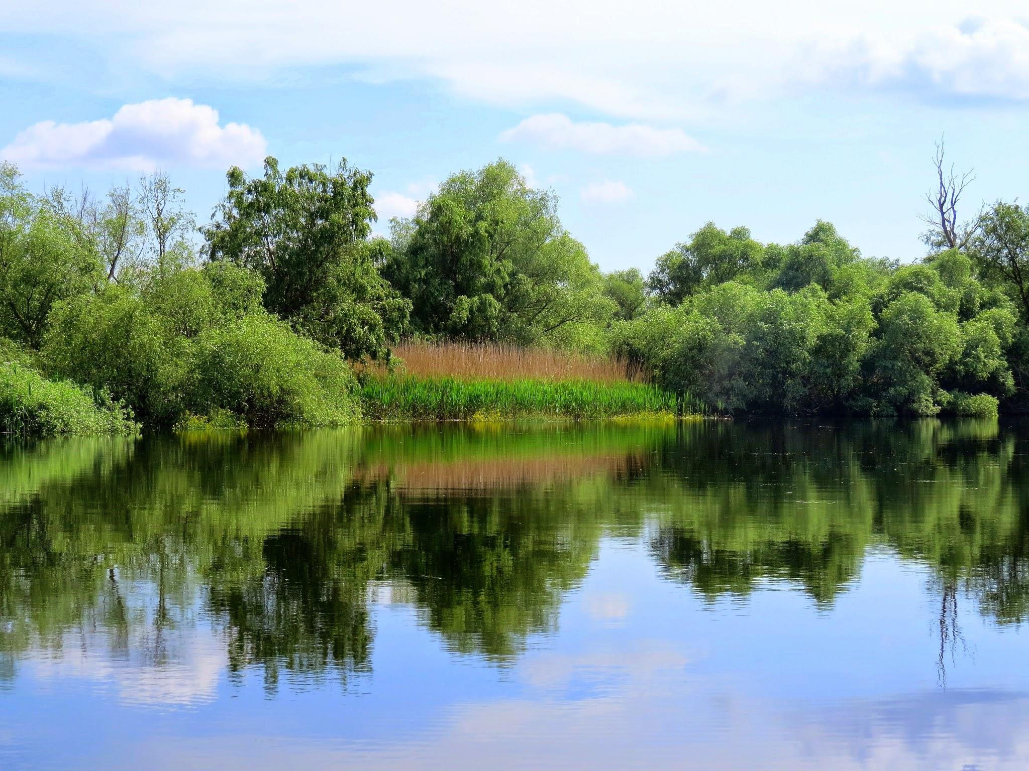 Galerie foto — Pensiunea Pagaya