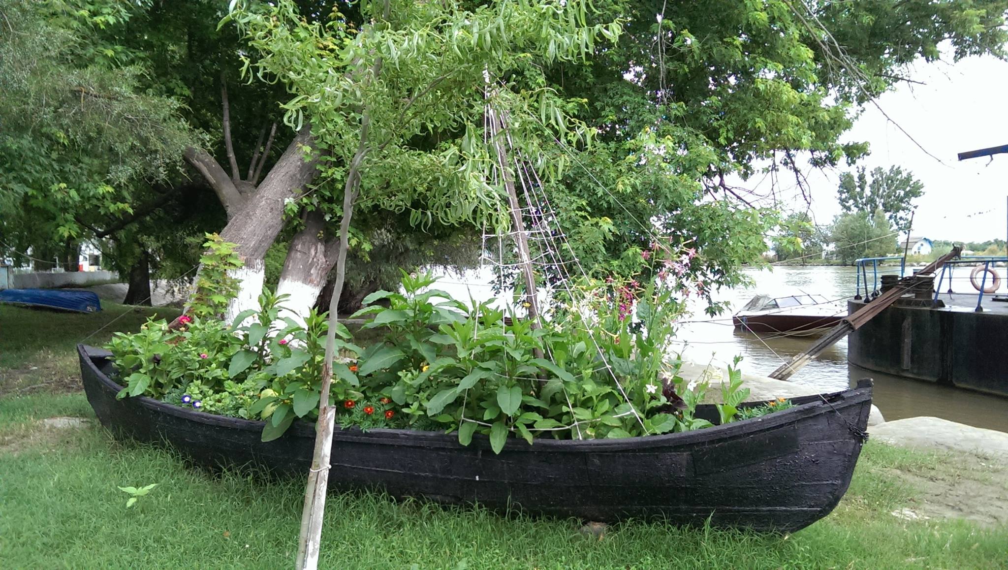 Galerie foto — Pensiunea Pagaya