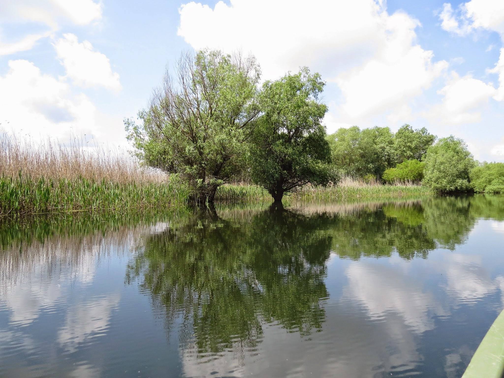 Galerie foto — Pensiunea Pagaya