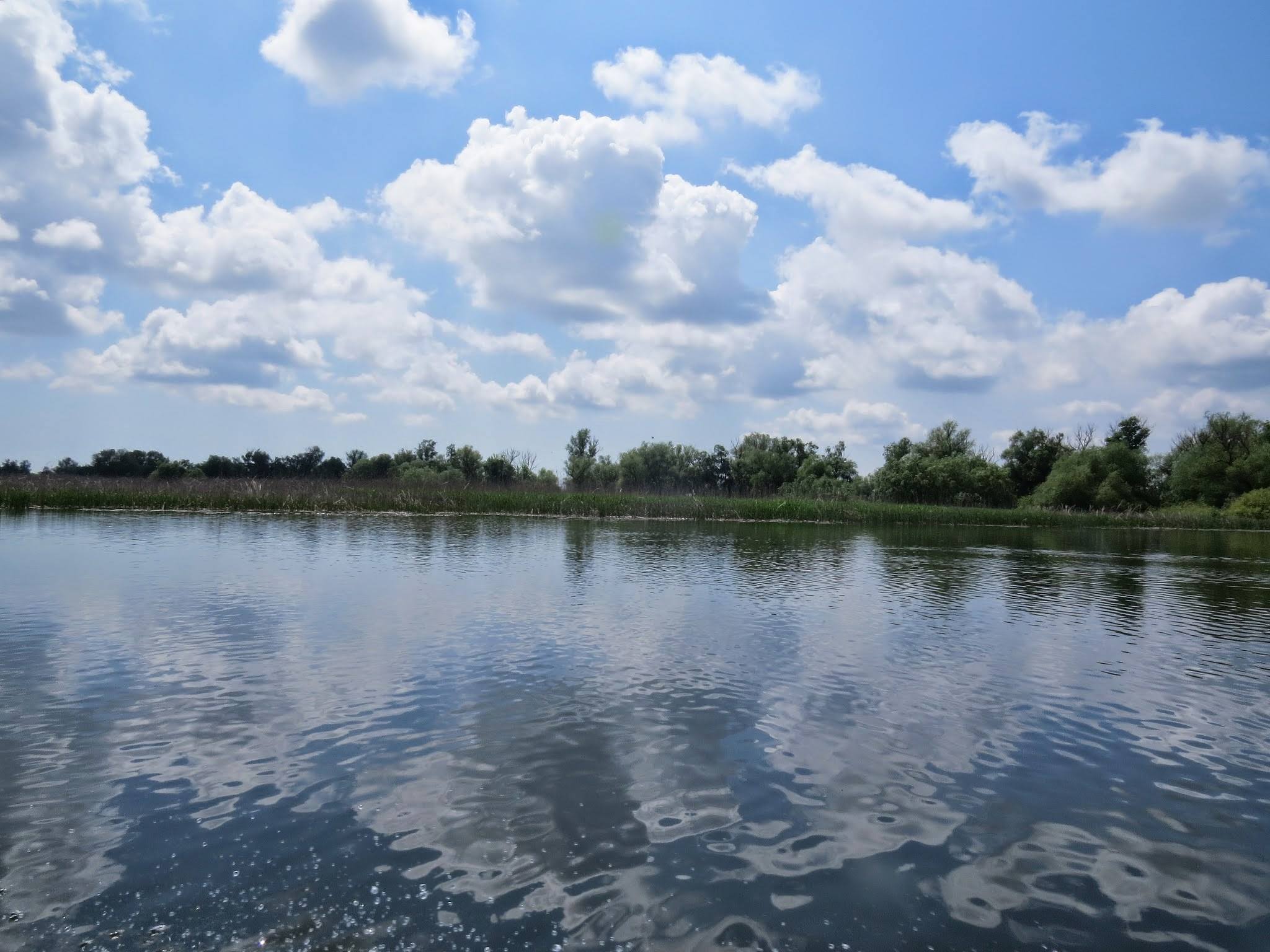 Galerie foto — Pensiunea Pagaya