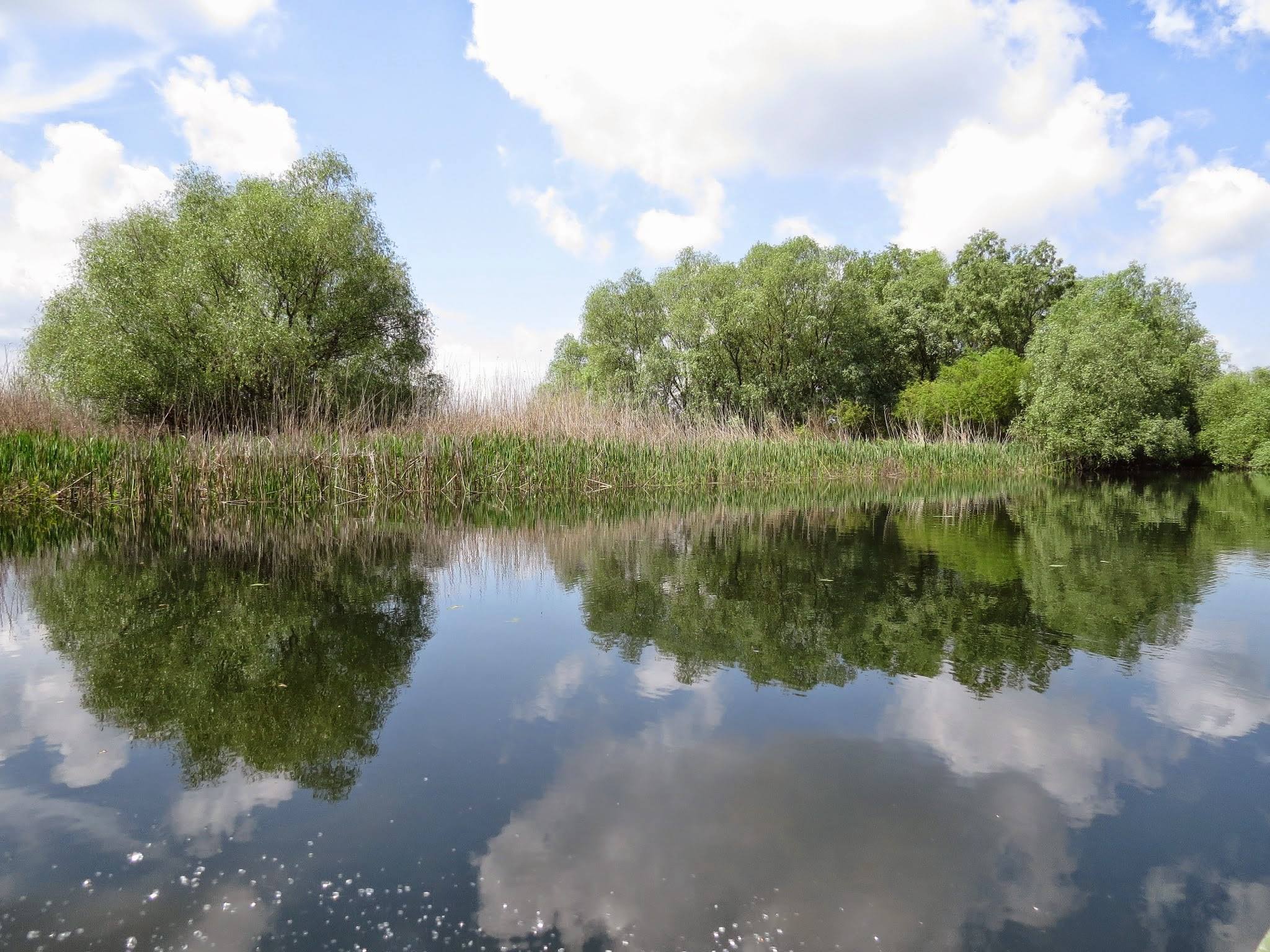 Galerie foto — Pensiunea Pagaya