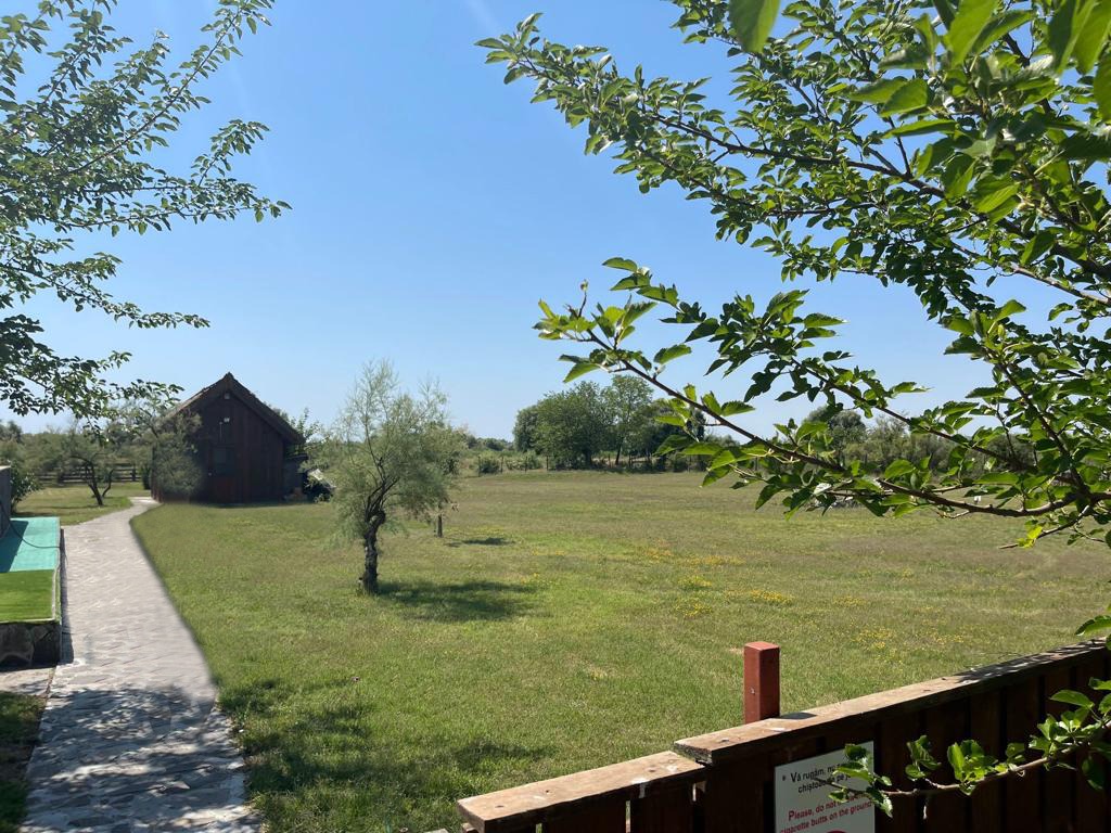 Servicii de camping pentru o aventură de neuitat Servicii de camping pentru o aventură de neuitat