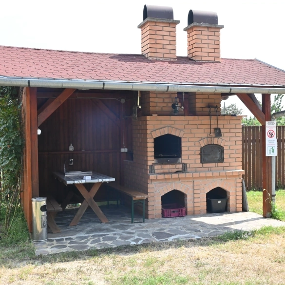 Grătar la Pensiunea Pagaya