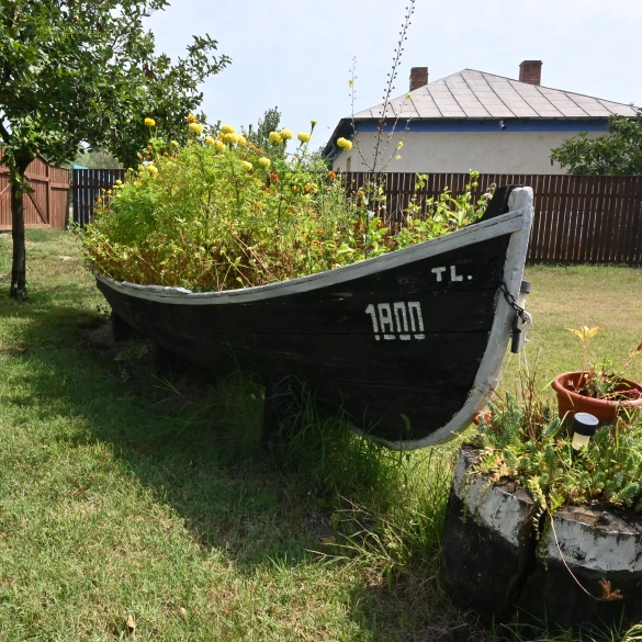 Grătar la Pensiunea Pagaya