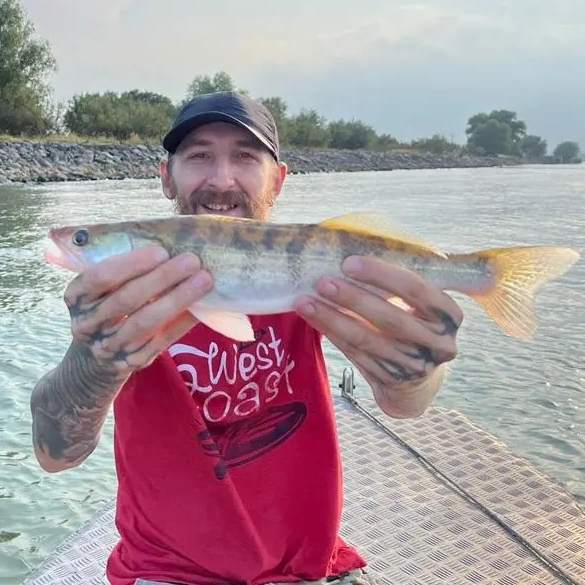 Pescuit la Pensiunea Pagaya