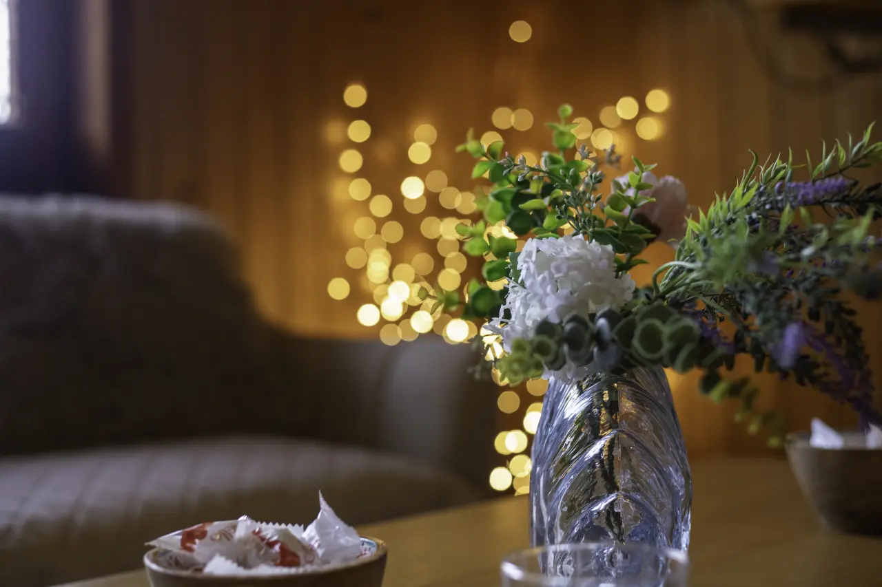 Galerie foto — Pensiunea Pagaya